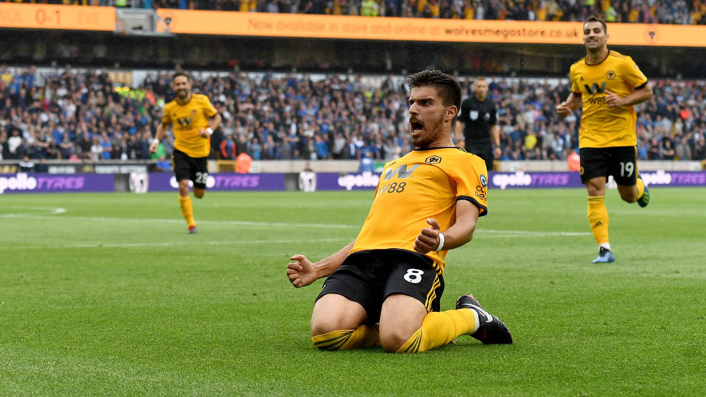 Wolverhampton fc celebrate goal